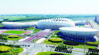 長(zhǎng)春 奧體之花 即將全面綻放