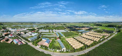 長春市現代菌物產業科技成果轉化示范基地揭牌暨首屆中國 長春 靈芝孢子粉采收節啟動儀式在凈月高新區舉行